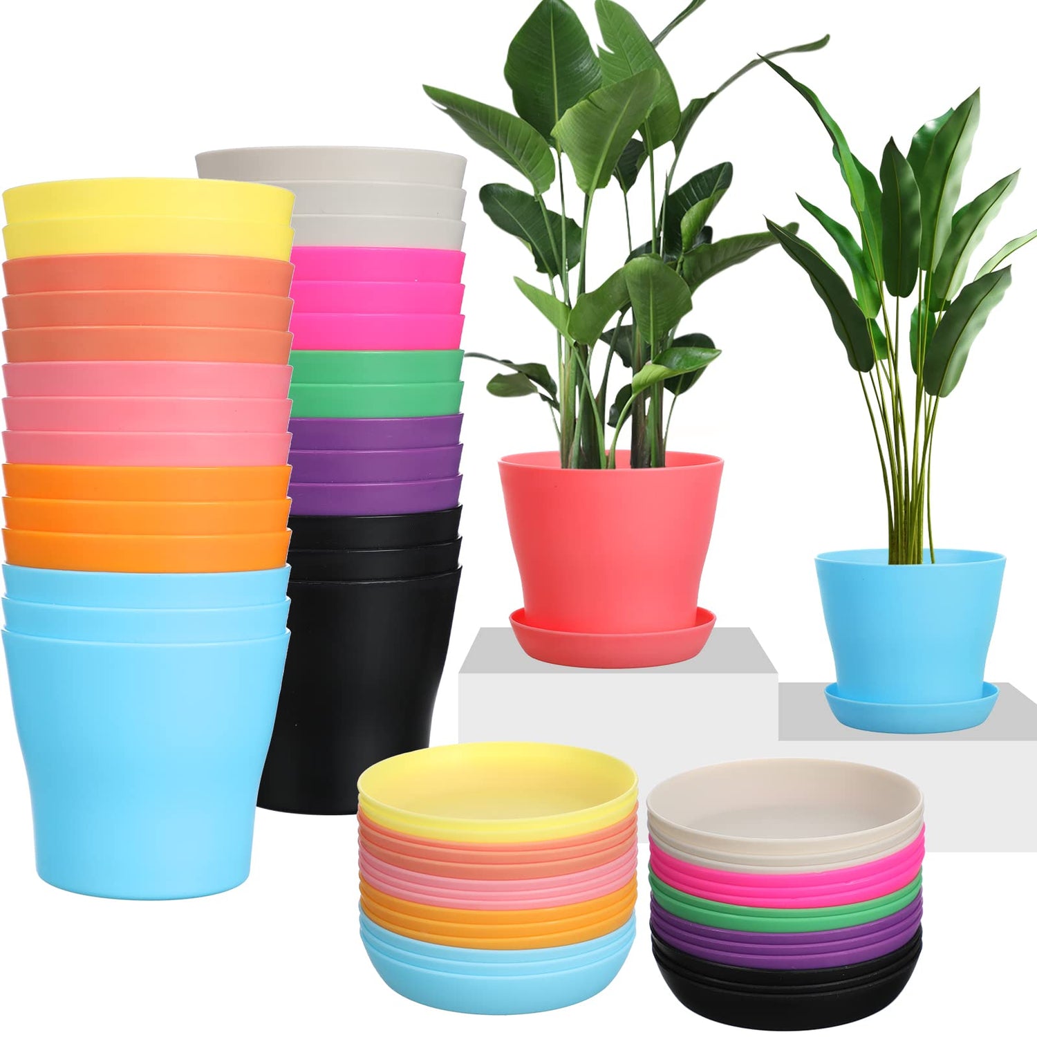 Planters and Gardening Equipments